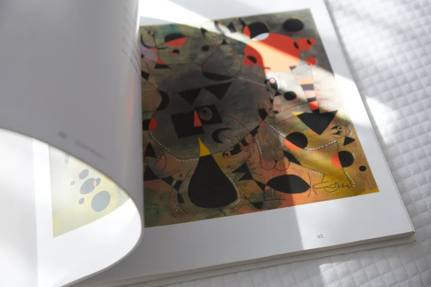 Joan Miro Museum Hotel 4*-21