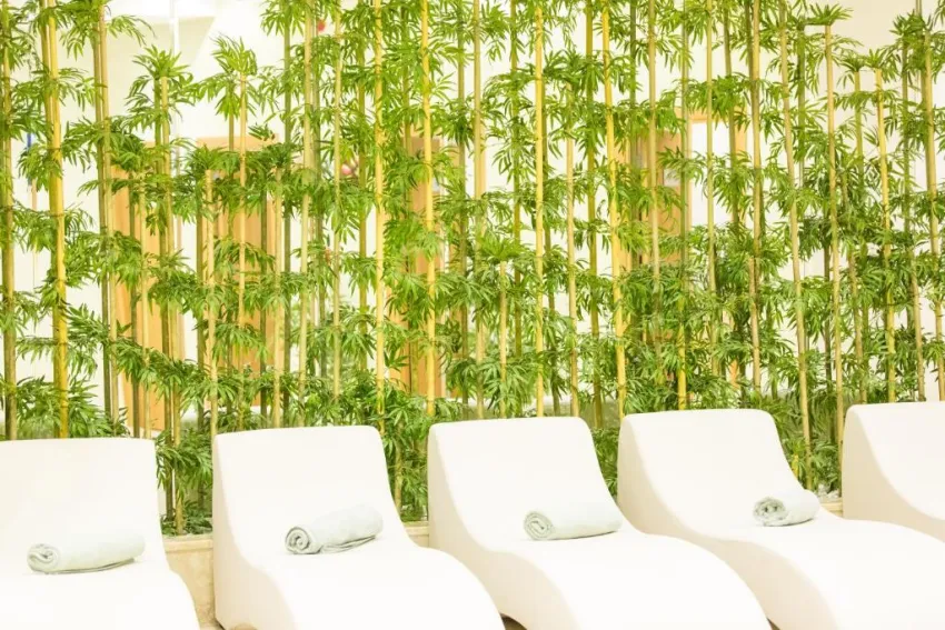 CLUB FALCON HOTEL  4*-27