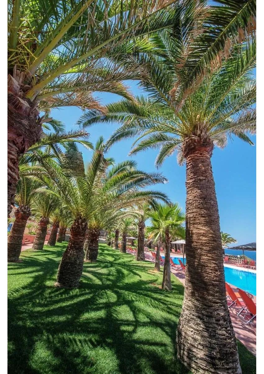 Europa Resort Hotel 4*-12