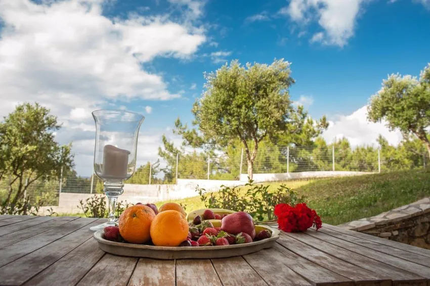 Aeolos Zante Villas 4*-16