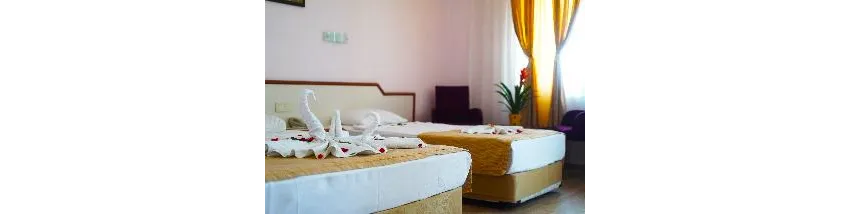 Ergun Hotel 3*-17