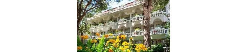 Rose Garden Premium Hotel 4*-16