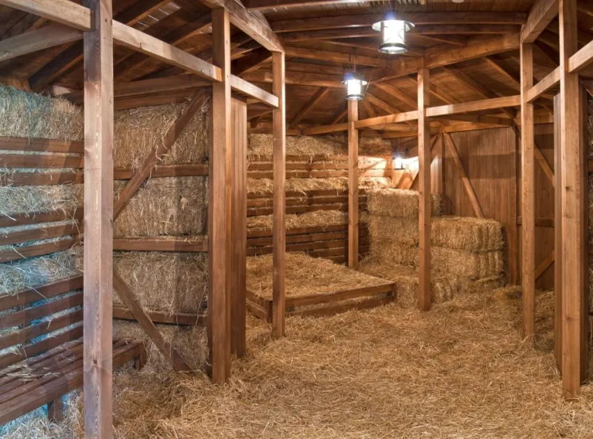 Sueno Hotels Deluxe Belek 5*-25