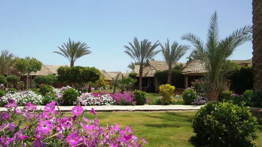 Panorama Bungalows Resort El Gouna 4*-46