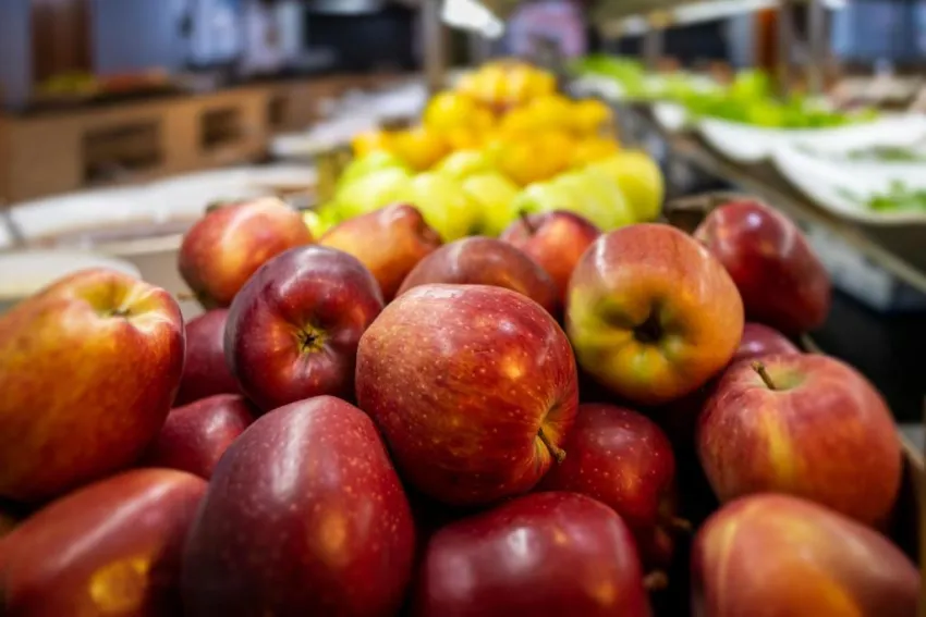 SENZA GRAND SANTANA HOTEL  4*-13