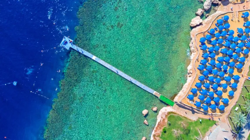 ALBATROS ROYAL GRAND SHARM EL SHEIKH (ADULT ONLY16+)  5*-80
