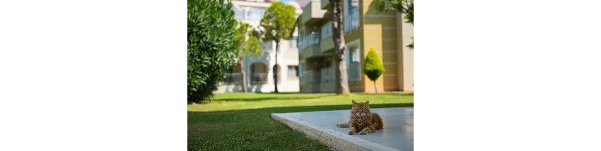 Kamelya Collection Fulya Hotel 5*-36