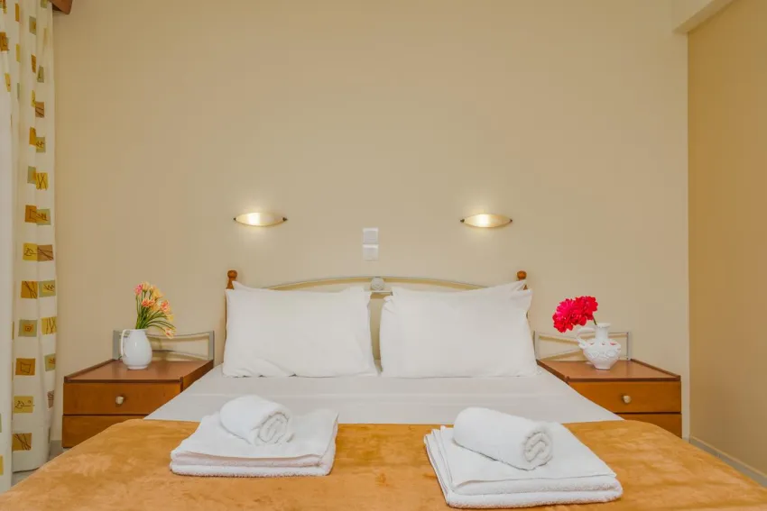 Manousis Aparthotel 3*-6