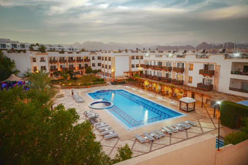 FALCON NAAMA STAR  3*-24