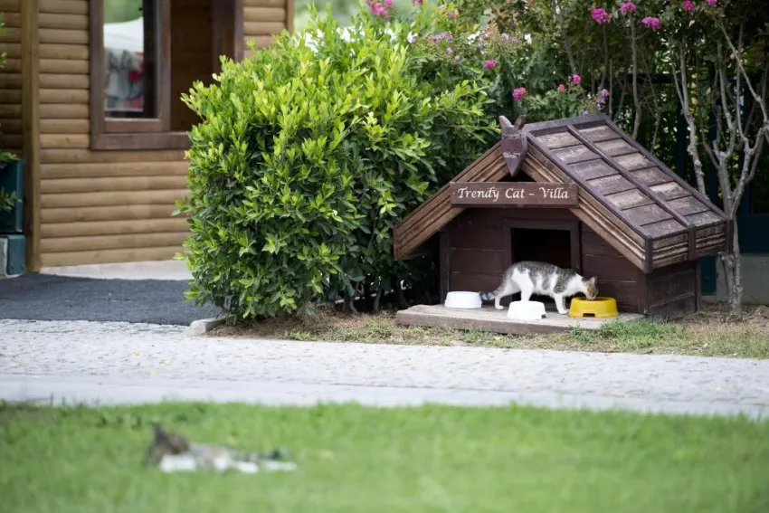 SENTIDO TRENDY VERBENA BEACH  5*-18