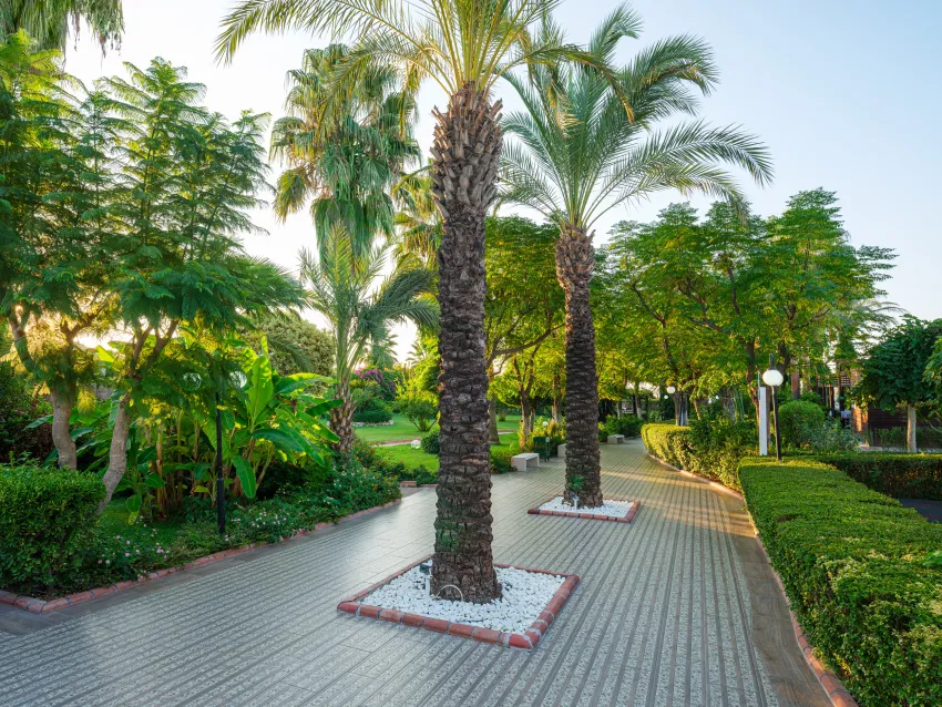 Aydinbey Famous Resort 5*-7