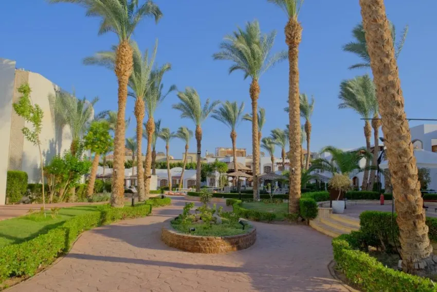 CORAL HILLS RESORT SHARM EL SHEIKH  4*-77