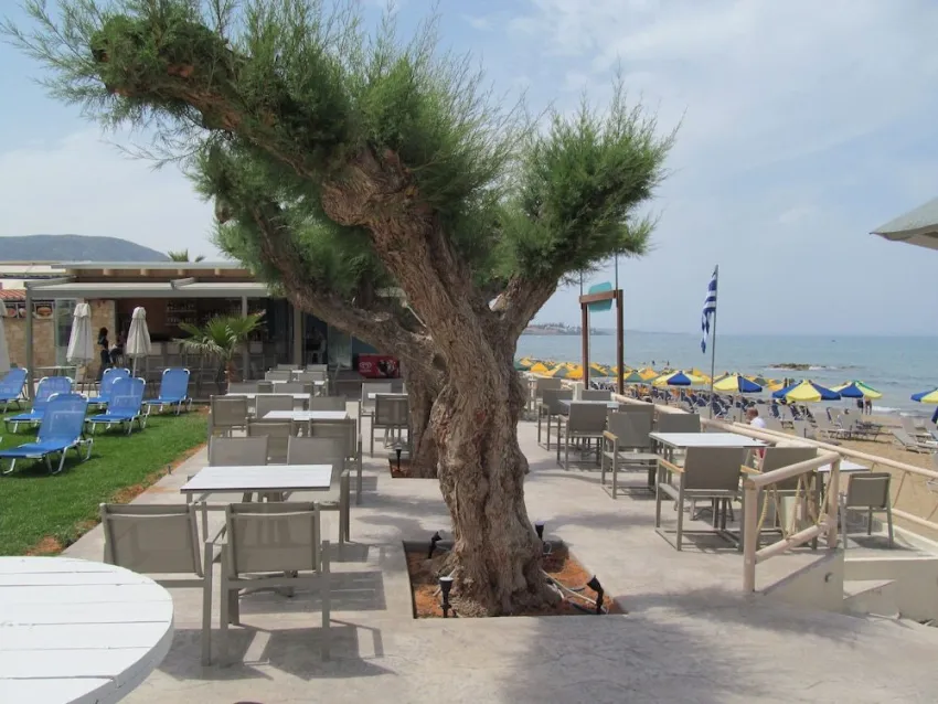 Malliotakis Beach 3*-19
