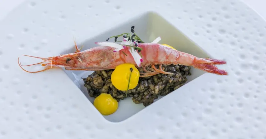 Hotel de Mar Gran Melia 5*-516