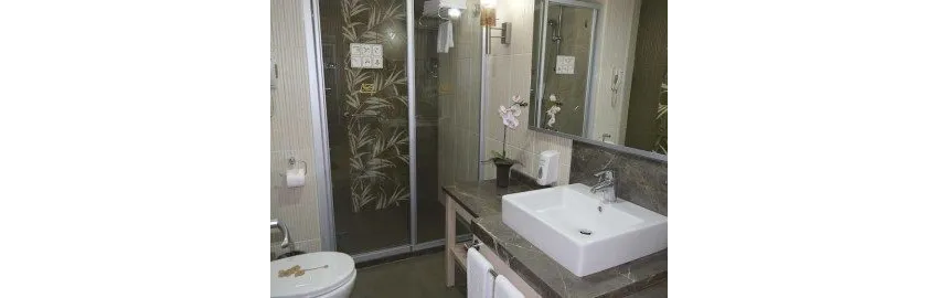 Ambassador Hotel 4*-25