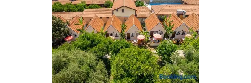 Clover Magic Nova Beach ( Ex.Nova Beach Hotel) 3*-33