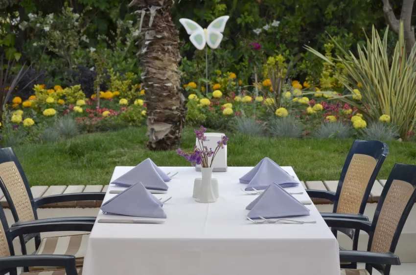 Calimera Side Resort 4*-32
