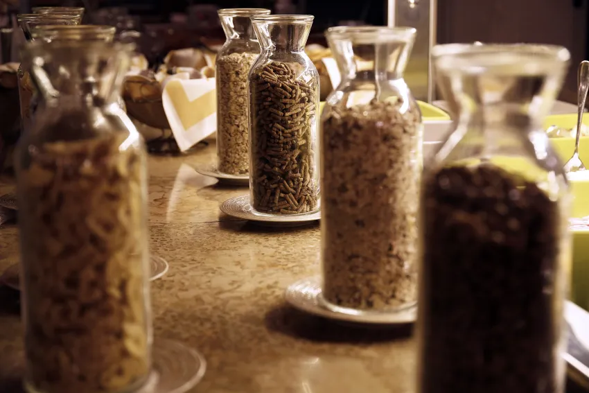 Orpheas Resort Hotel Adults Only 16+ 4*-115