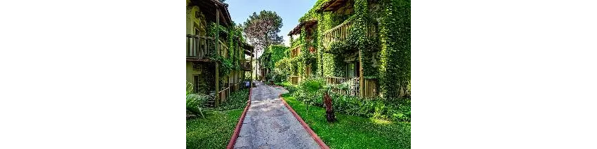 Gypsophila Club Marine 5*-4