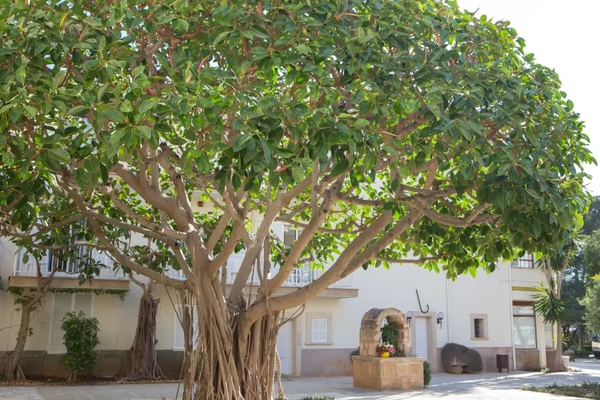 Castell dels Hams 4*-67