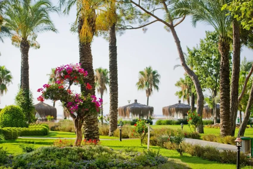 GYPSOPHILA CLUB MARINE   5*-21