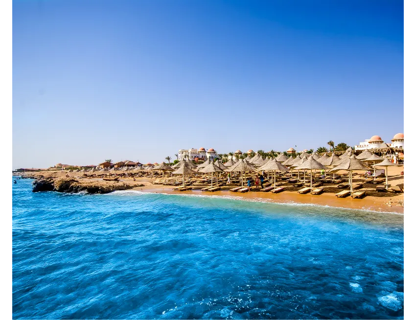 SRNTY SEA REEF (EX. SERENITY ALPHA BEACH)  5*-30