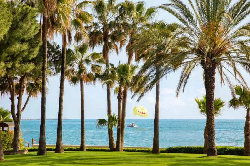 ACANTHUS & CENNET BARUT COLLECTION  5*-11