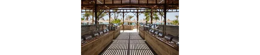 Giftun Azur Resort 3*-11