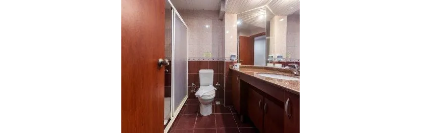 Wasa Hotel 3*-18