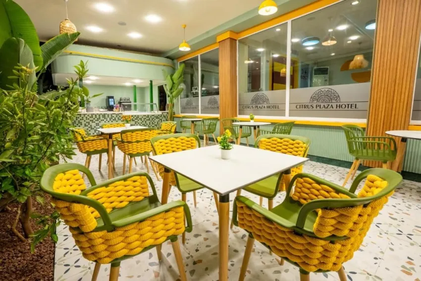 Citrus Plaza Hotel (Ex. Artemis Princess) 4*-22