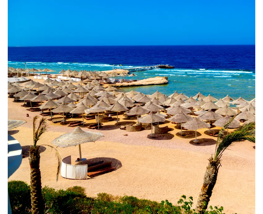 SERENITY ALPHA BEACH (EX SERENITY MAKADI BEACH)  5*-32