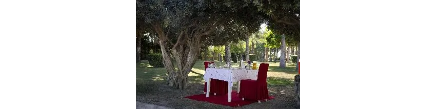 Kamelya Collection Fulya Hotel 5*-191