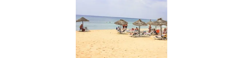 Golden Tulip Taj Sultan 5*-79