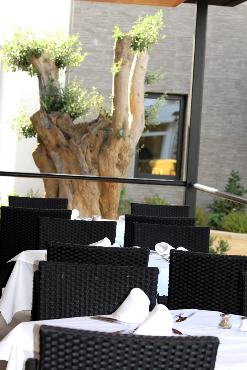 Protur Palmeras Playa 4*-68