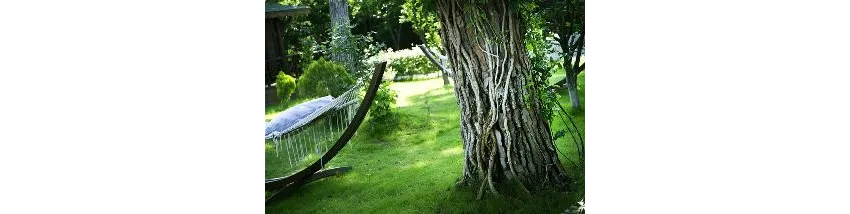 Flora Garden Beach (Adults Only 16+) 5*-8