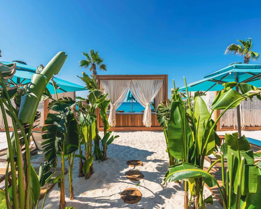 Regnum Carya Golf & Spa Resort 5*-50