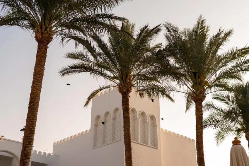 BARON PALMS (ADULTS ONLY 16+)  5*-25
