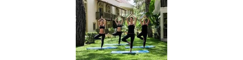 Gypsophila Club Marine 5*-8