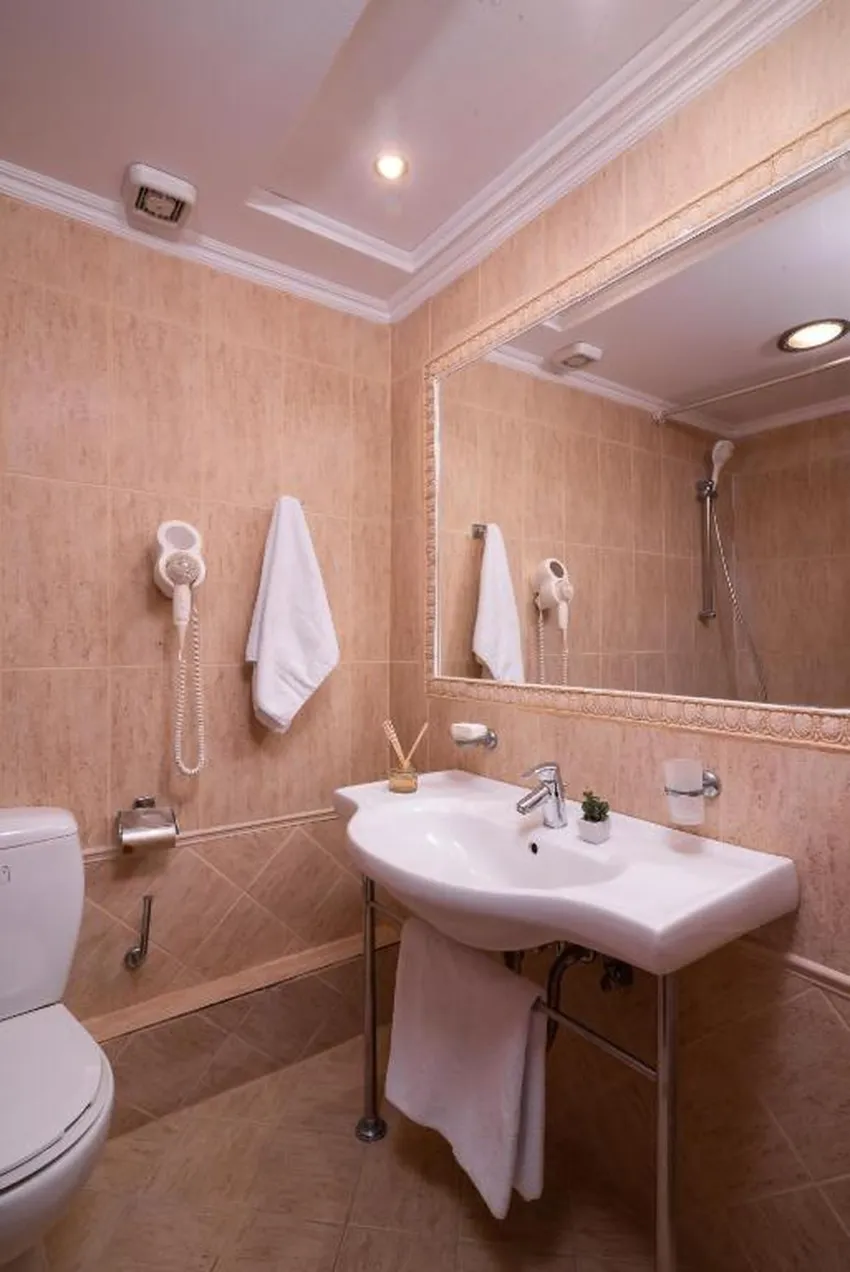 Avalon Palace Hotel 4*-8