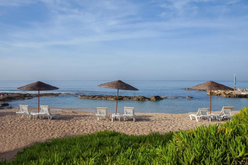 Louis Imperial Beach 5*-11