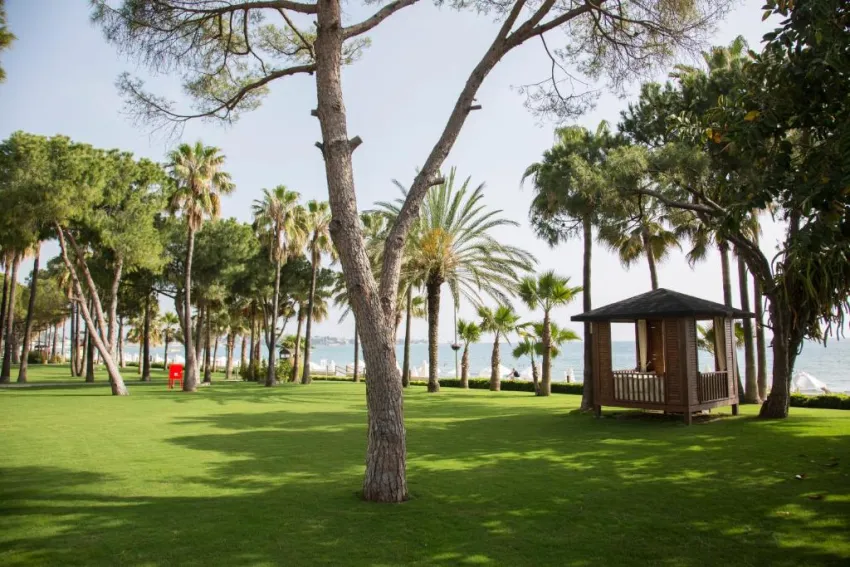 ACANTHUS & CENNET BARUT COLLECTION  5*-14