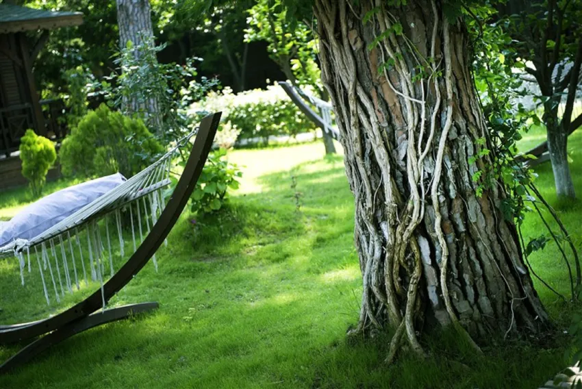 Flora Garden Beach (Adults Only 16+) 5*-6