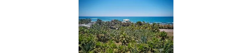 Seaden Sea World Resort & Spa 5*-129