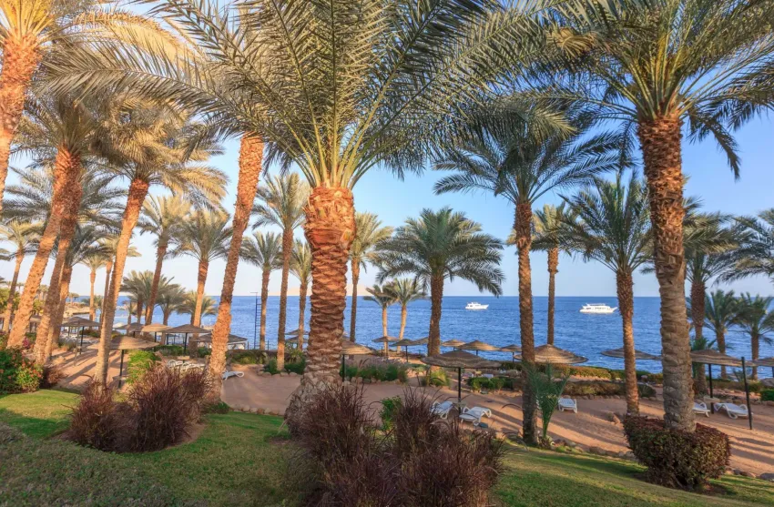 Grand Rotana Resort & Spa 5*-4