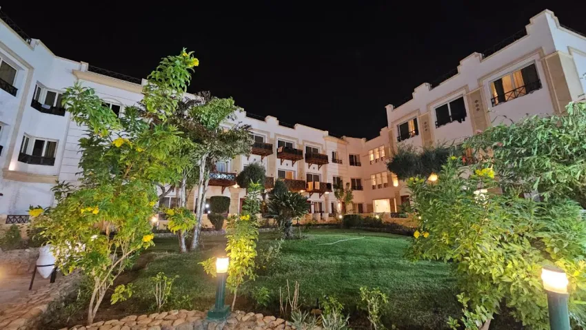 FALCON NAAMA STAR  3*-70