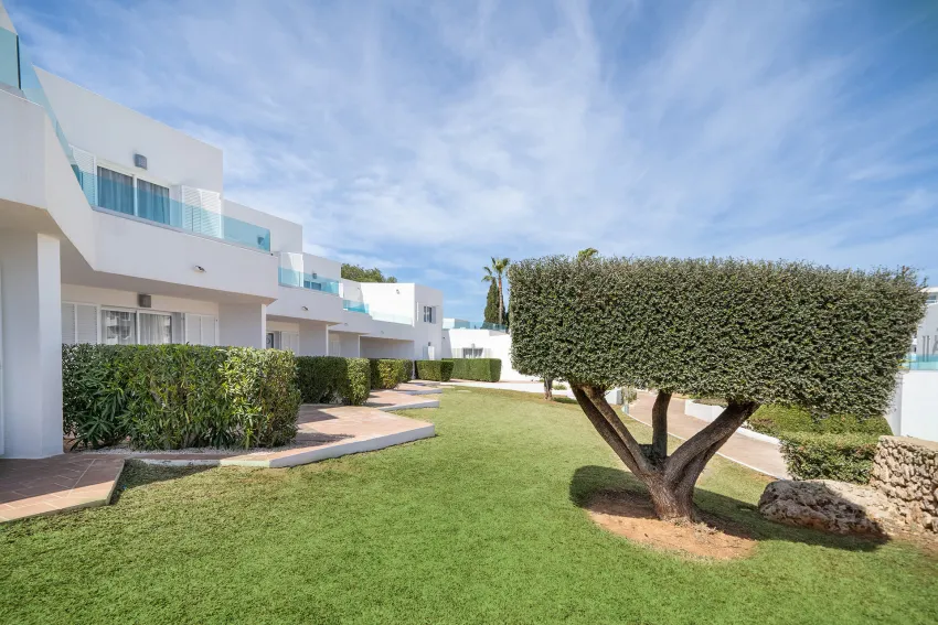 Marsenses Ferrera Blanca Adults Only 4*-39