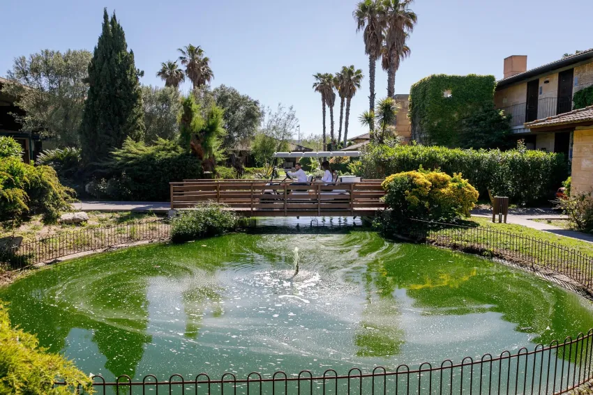 Portblue Club Pollentia Resort & Spa 4*-3