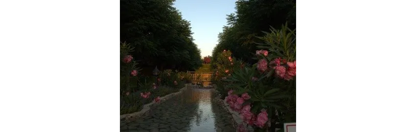 Can Garden Beach Hotel 4*-22