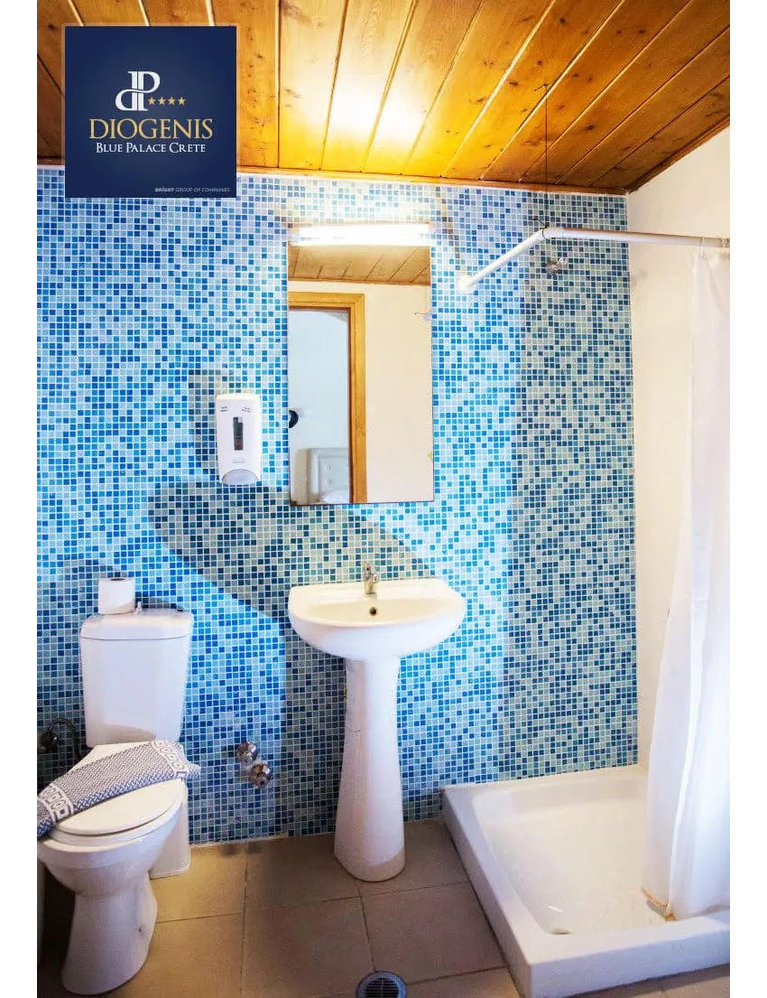 Diogenis Blue Palace 4*-15