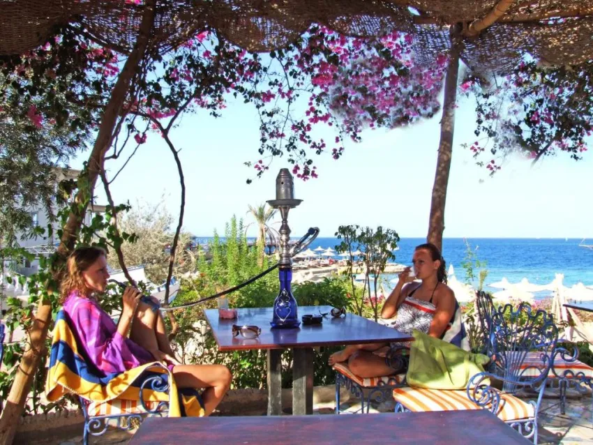 KING TUT RESORT  4*-12